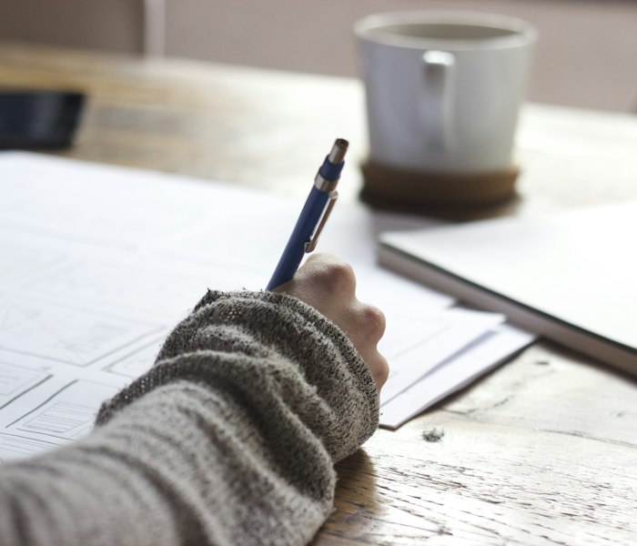 Professional Translation Services